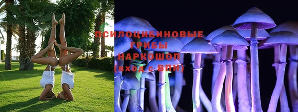mdpv Армянск