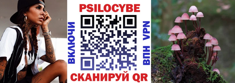 дарк нет состав  цены наркотик  Нестеров  Галлюциногенные грибы Psilocybine cubensis 